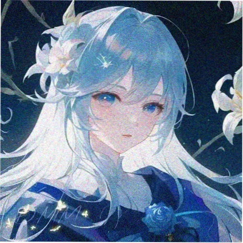 观众头像 南风